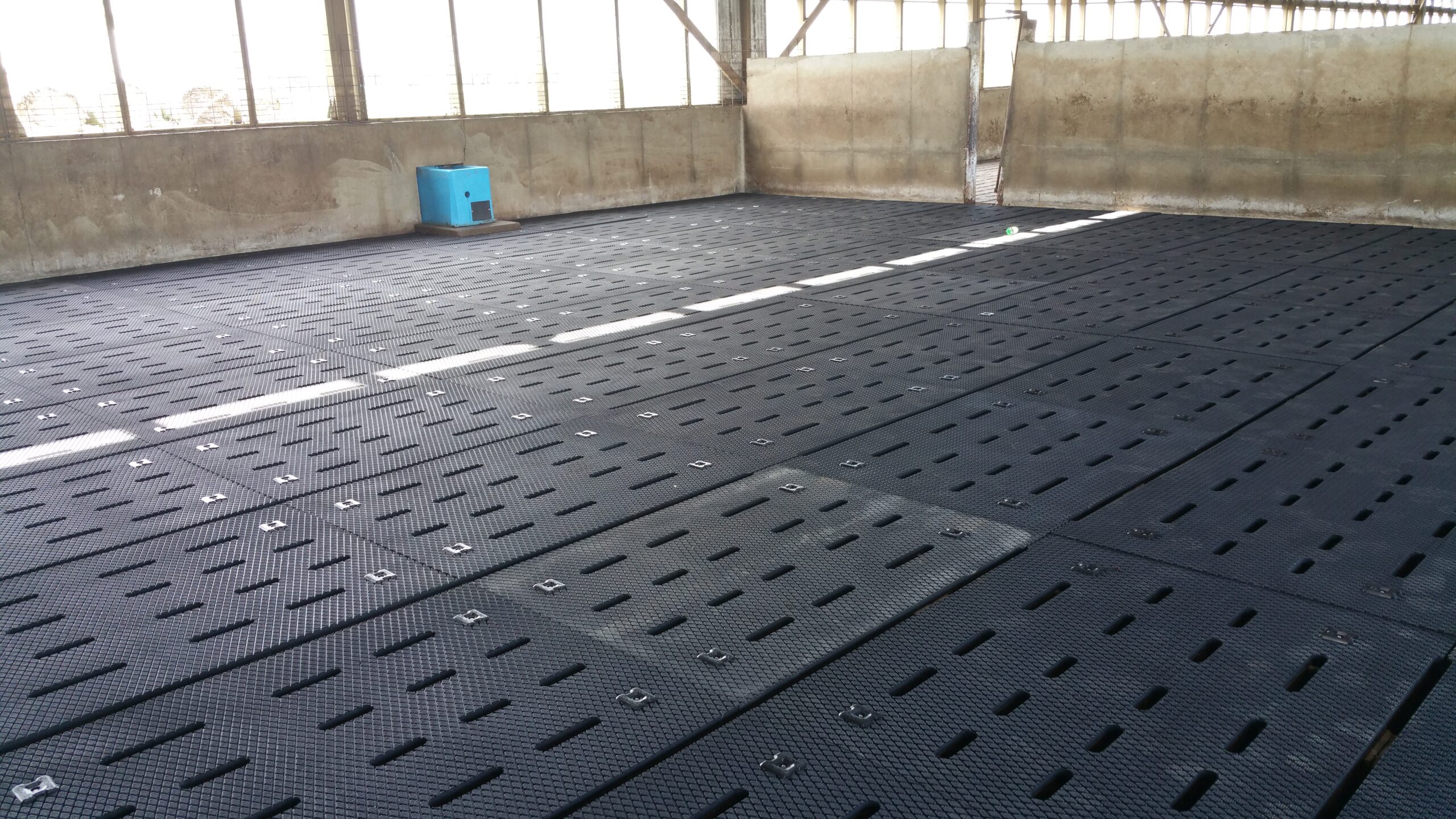 Slatted floor for beef